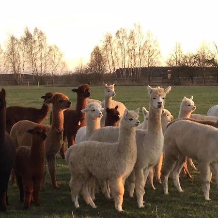 Spreewald-Ferienwohnung Reschke Radensdorf Esterno foto