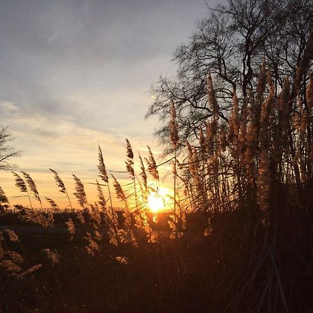 Spreewald-Ferienwohnung Reschke Radensdorf Esterno foto
