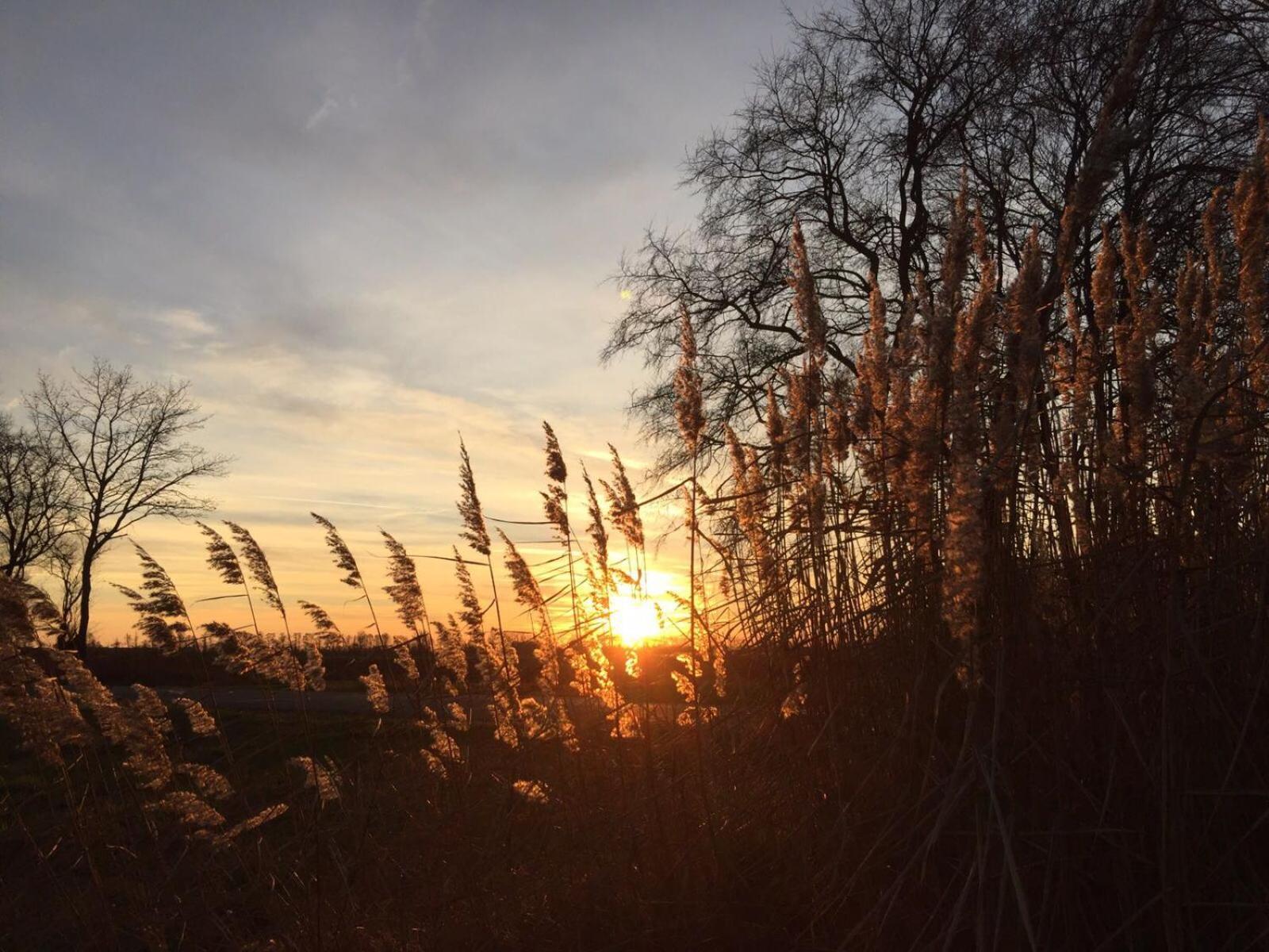 Spreewald-Ferienwohnung Reschke Radensdorf Esterno foto