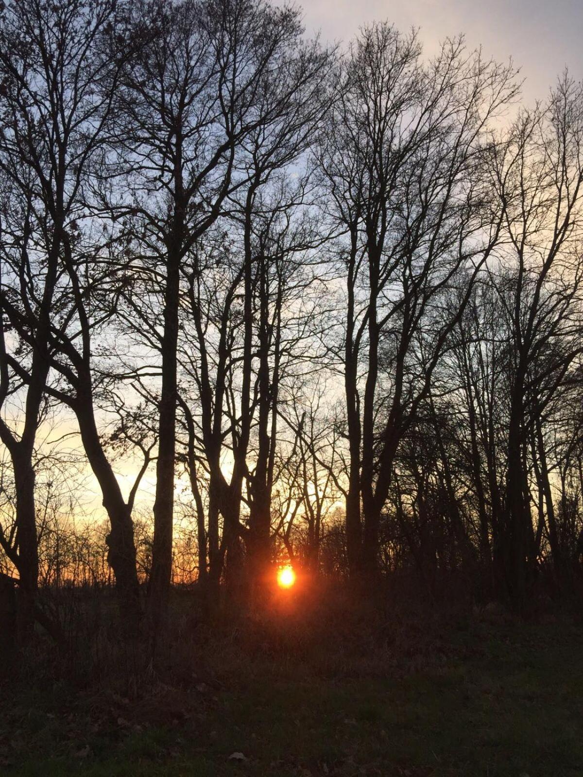 Spreewald-Ferienwohnung Reschke Radensdorf Esterno foto